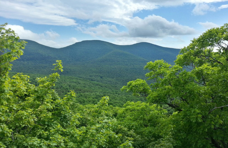 Scenic view at The Thompson House.