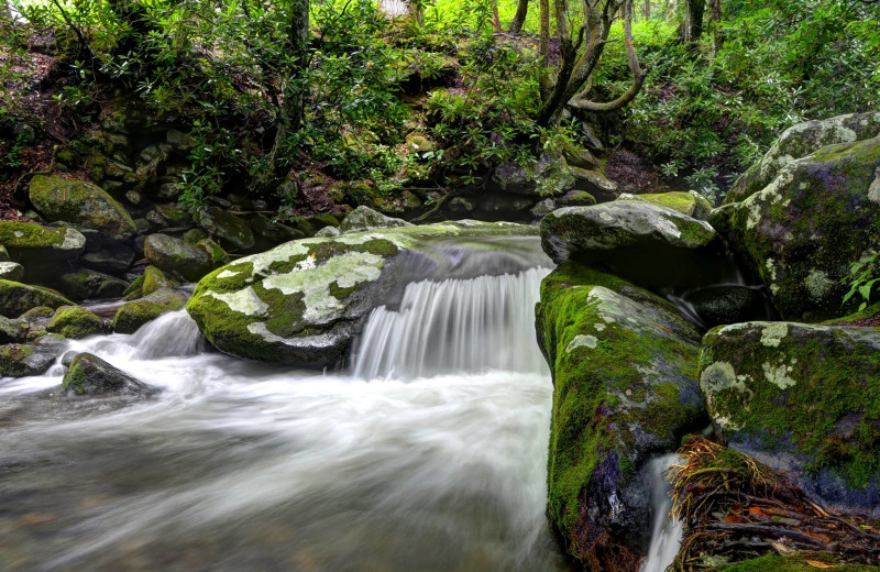 Creek at Hidden Creek Cabins.