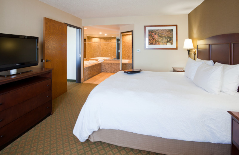 Whirlpool suite at Hampton Inn Duluth.