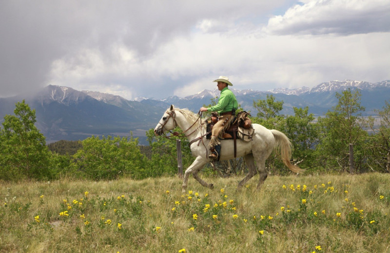 Riding at Elk Mountain Ranch.