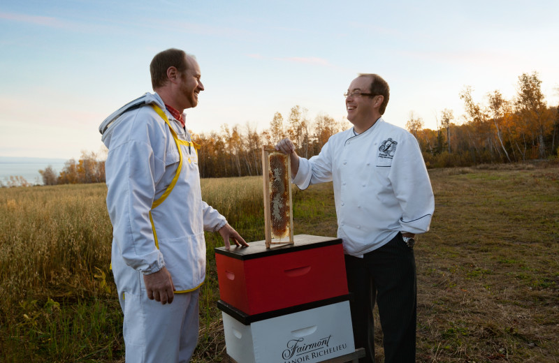 Bee keeping at Fairmont Le Manoir Richelieu.