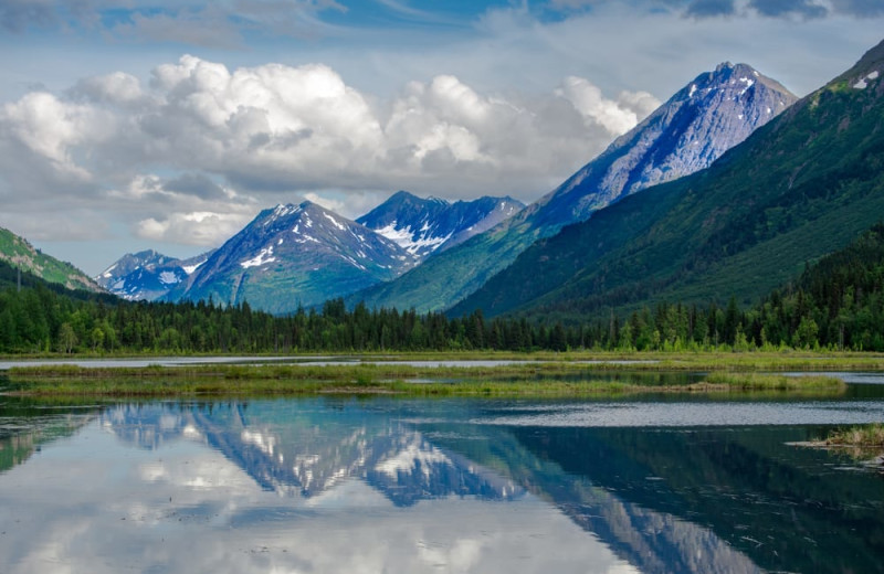 Scenic view at Trail Lake Lodge.