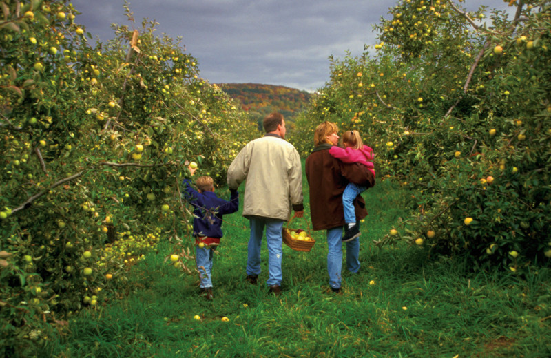 Orchard near Tamarack Lodge.