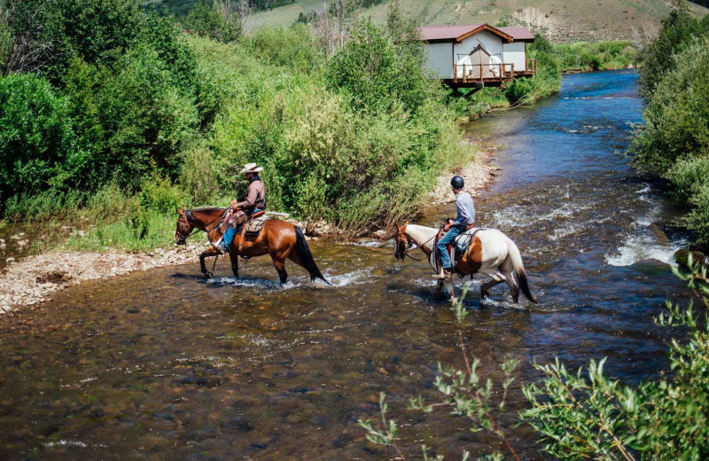 Horseback riding at C Lazy U Ranch.