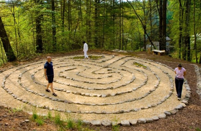 People in garden at Splendor Mountain.