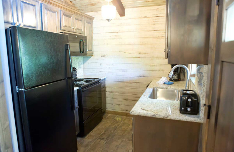 Cabin kitchen at Indian Point.