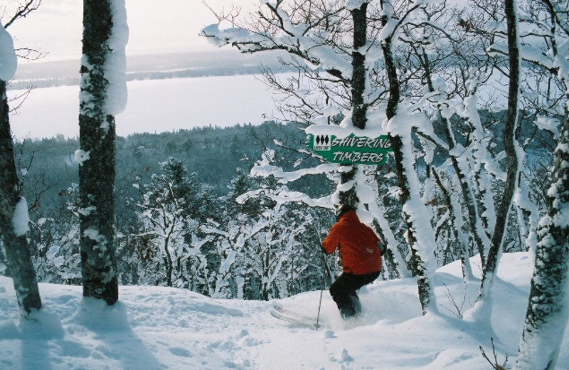 Skiing at Aqua Log Cabin Resort.