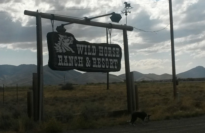 Exterior view of Wildhorse Resort.