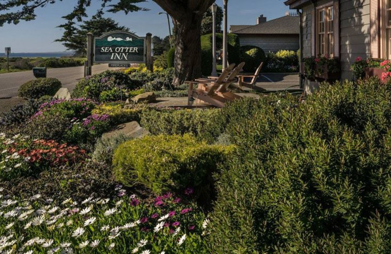 Exterior view of Sea Otter Inn.