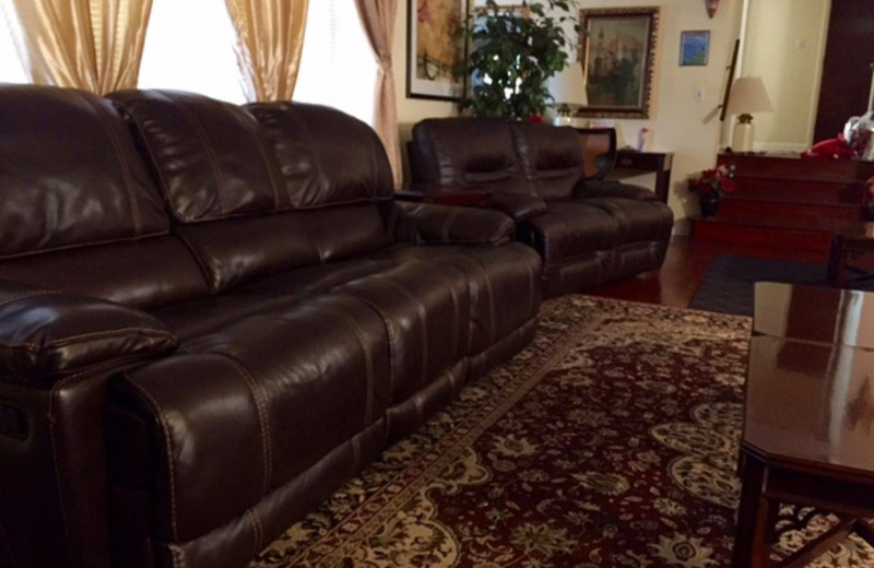 Living room at The Alcove at Luray.