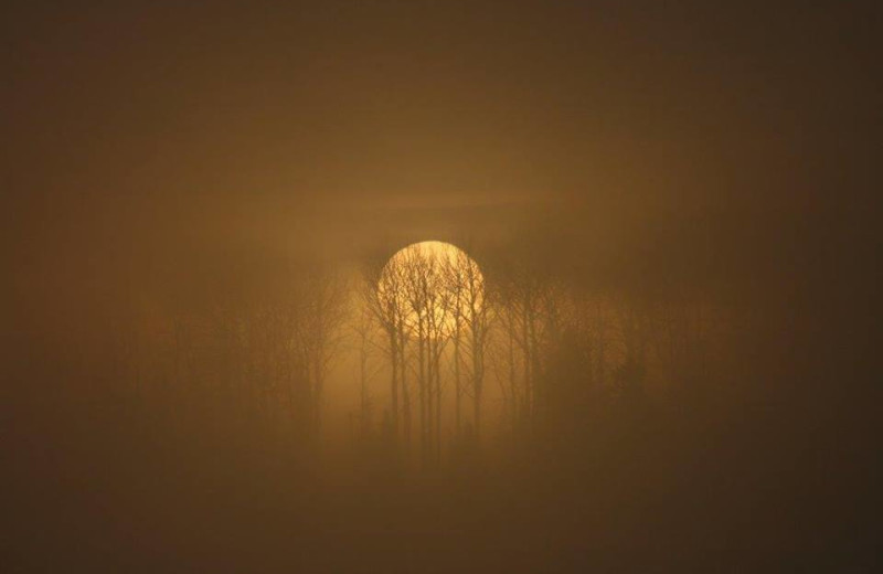 Foggy Morning Sunrise at Tatnall Camp