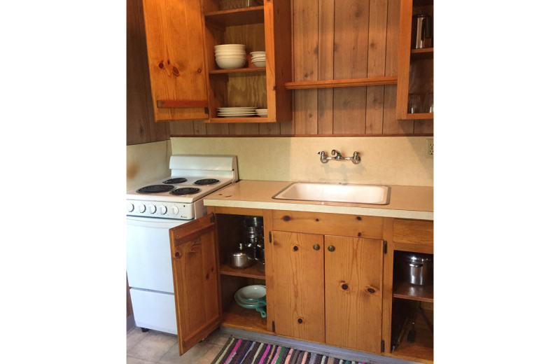 Cabin kitchen at Lake Elowin Resort.