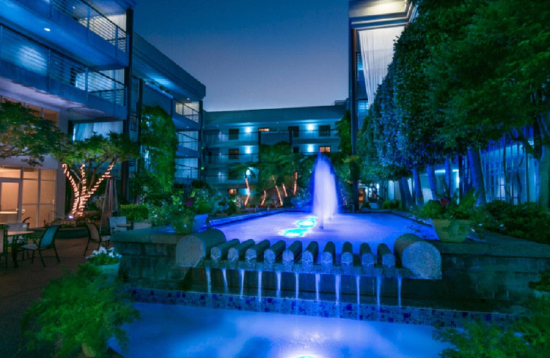 Outdoor pool at Cupertino Hotel.