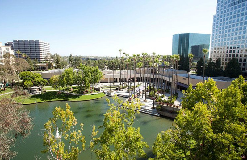 View of Lake from Avenue of the Arts Wyndham Hotel