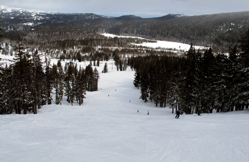 Mt Bachelor is just 30 minutes on paved, plowed backroads. Winter skiing and snowboarding, cross-country ski center plus family fun tubing hill. Open summers too. The lift chair views are spectacular. There are hiking trails, a restaurant, and sometimes still some snow at high elevation.