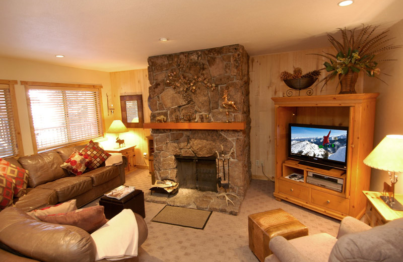 Rental living room at Frias Properties of Aspen - Silverglo.