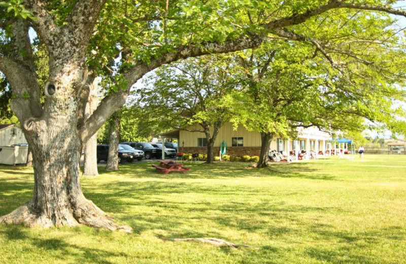Exterior view of Skylark Shores Resort.