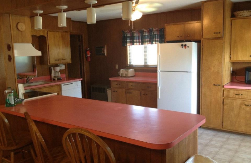 Cabin kitchen at Weslake Resort. 