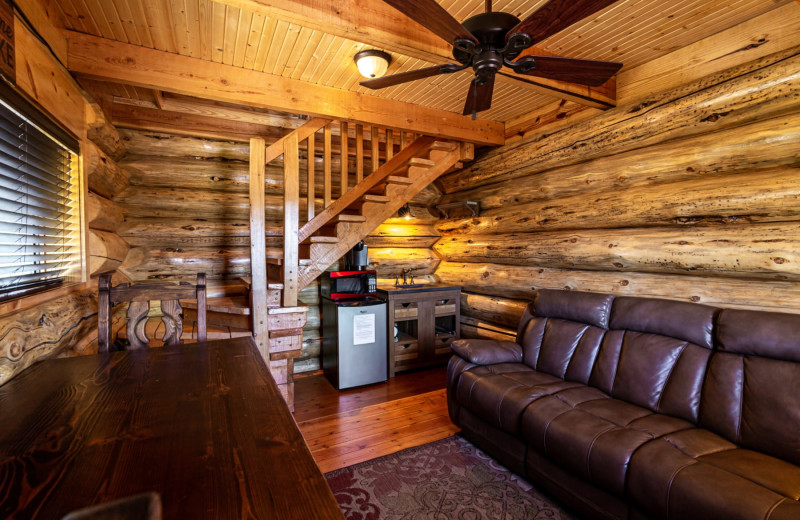 Rental living room at Log Country Cove.