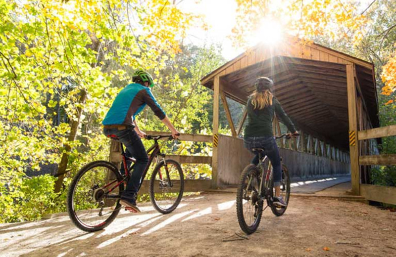 Biking at The Kingsley House.