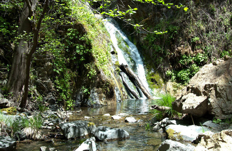 Waterfall near Vichy Springs Resort.