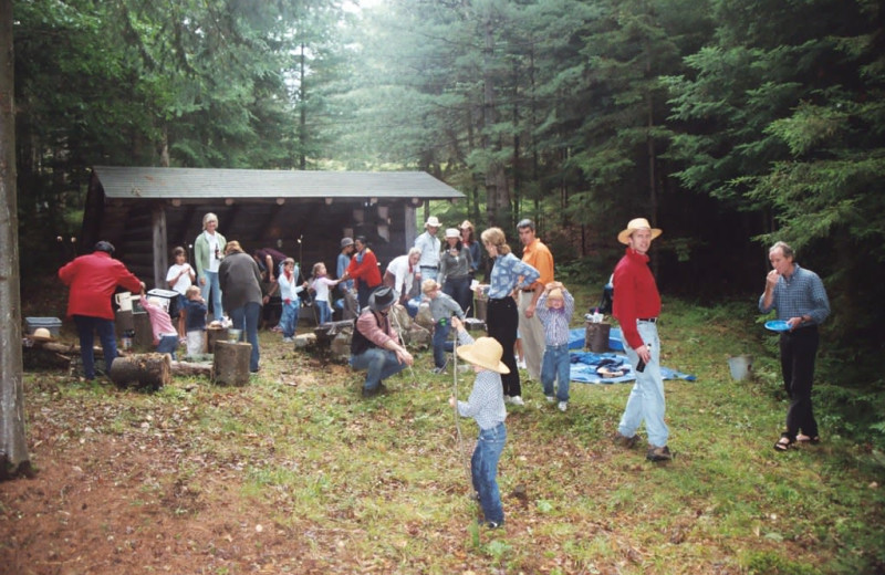 Eagle Nest