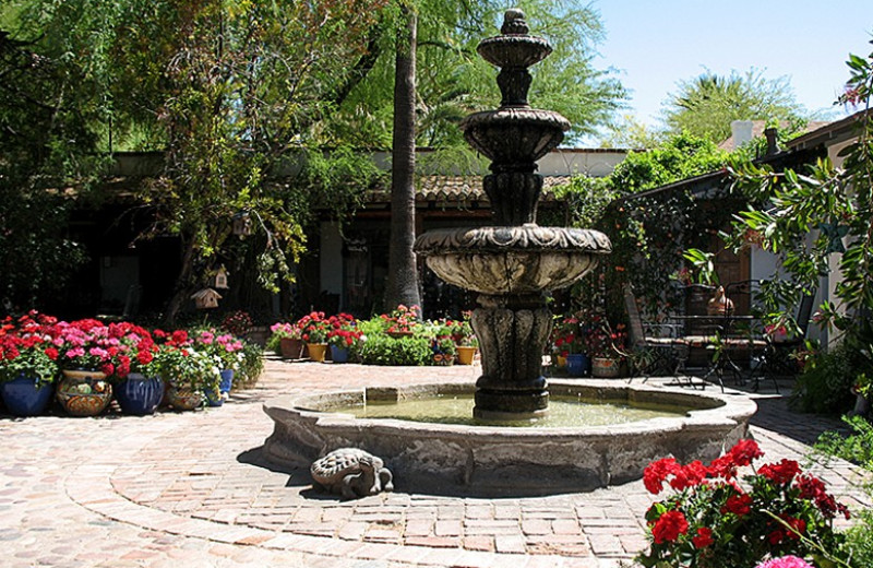 Garden at El Presidio Bed & Breakfast.