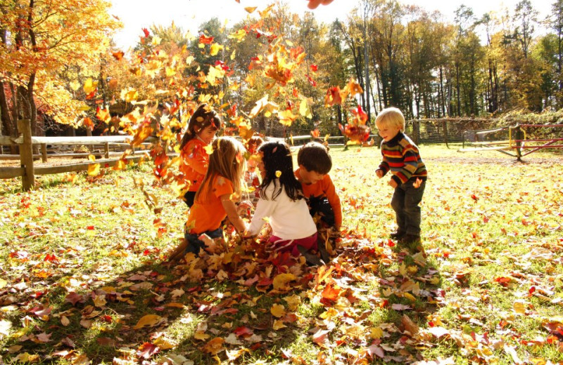 Jumping in Leaves at Pine Ridge Dude Ranch