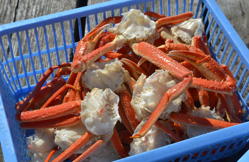 Crab at Zachar Bay Lodge.