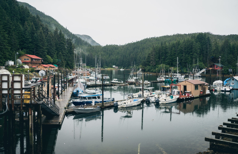 Marina at Elfin Cove Resort.