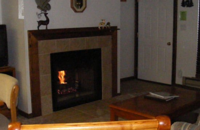 Fireplace at Copper Chase Condominiums.