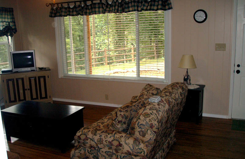 Cabin living room at Big Bear Log Cabins.