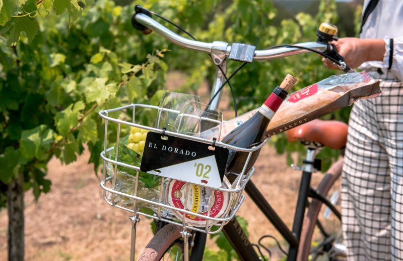 Biking through vineyard near El Dorado Hotel.