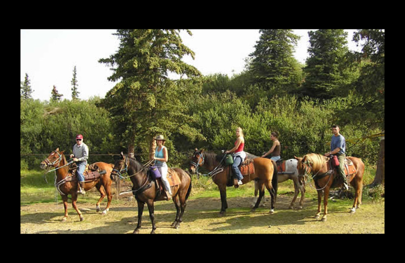 Exterior view of Denali Country Ranch.