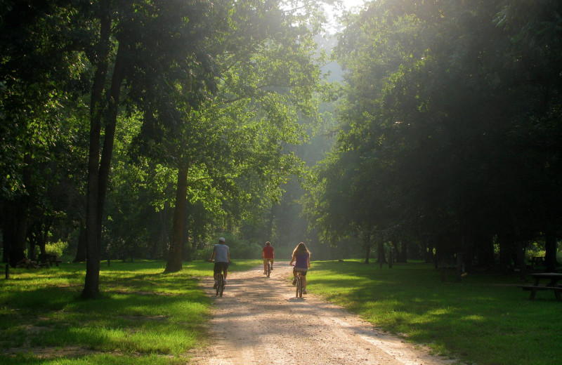 Campground at Leatherwood Mountains Resort.