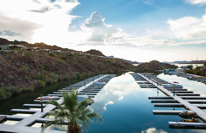 Marina at Havasu Springs Resort.
