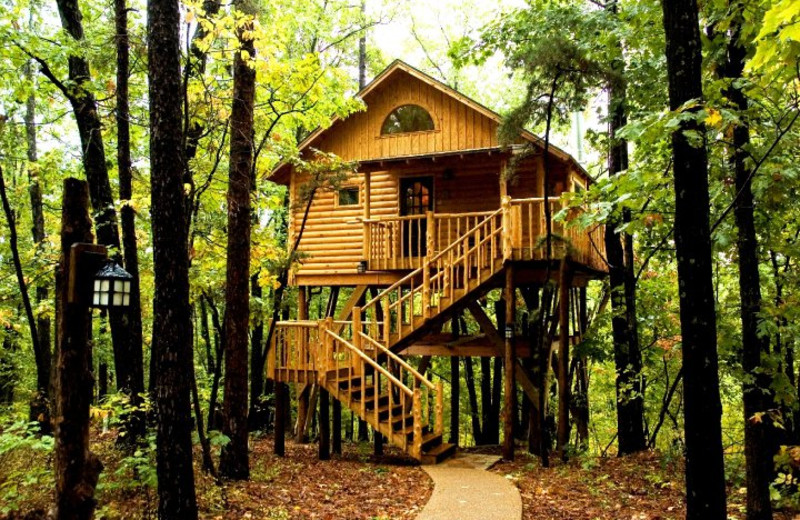 The Original Treehouse Cottages Eureka Springs Ar Resort