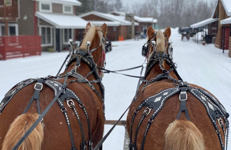 Wagon ride at Ranch Rudolf.