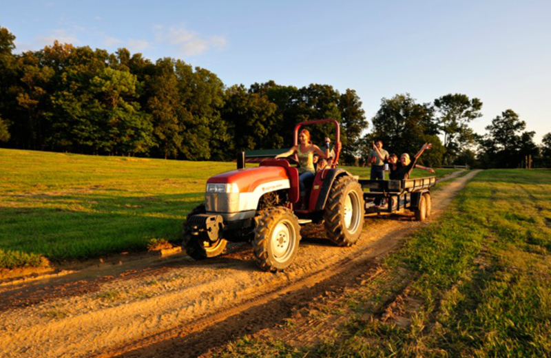 Hayride at Elk Ridge Ranch.