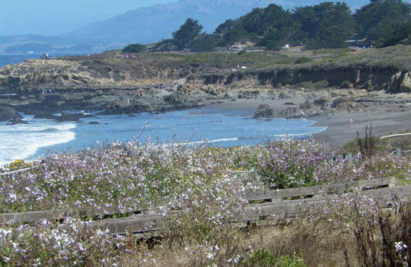 The beach at Sea Otter Inn.