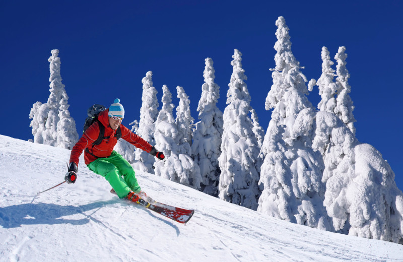 Skiing at Bear Country Property Management (2018) Ltd.