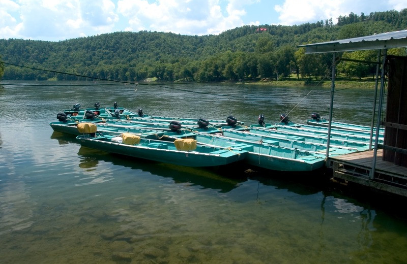 Boats at Norfork Resort & Trout Dock.