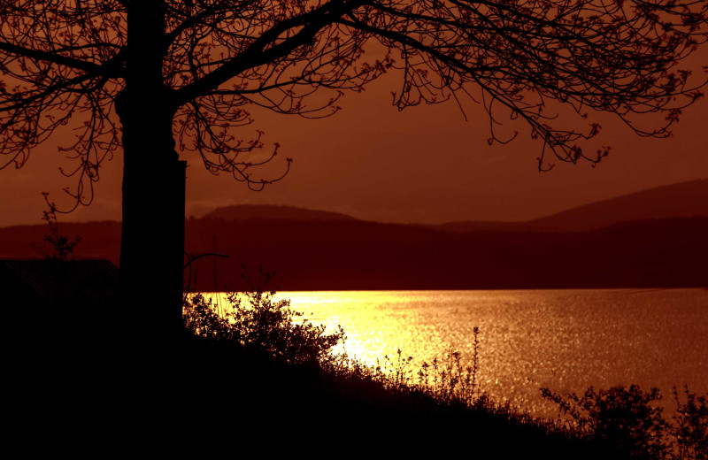 Lake at Apple Island Resort.