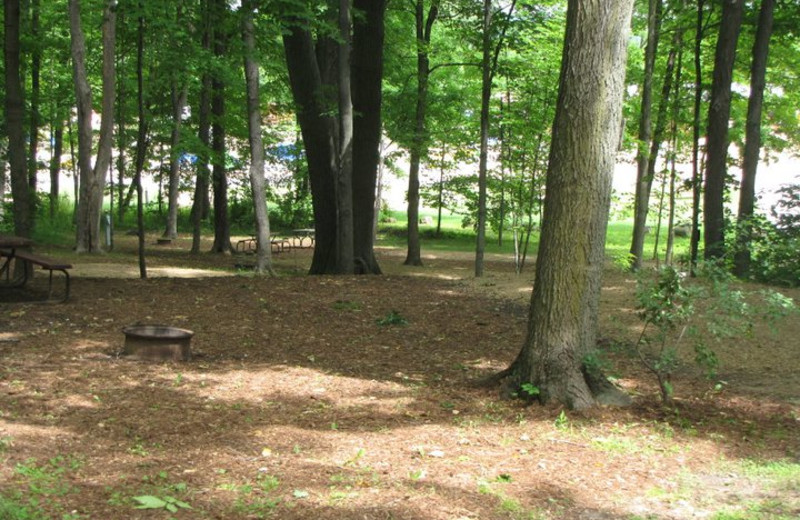 Campsite at Merry Mac's Campground