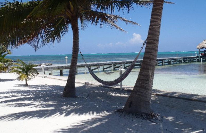 Beach at Caribe Island Resort.