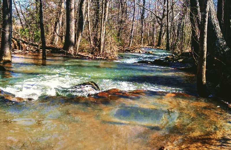 Stream at Big Pine Trout Farm.