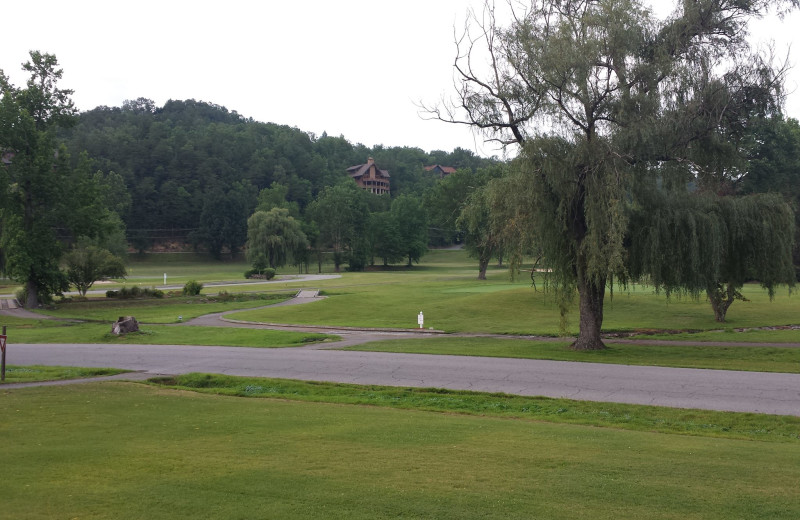 Cobbly Nob Rentals (Gatlinburg, TN) Resort Reviews Cobbly Nob Rentals (Gatlinburg, TN) Resort Reviews