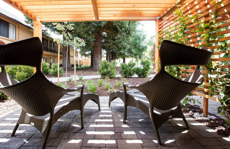 Guest patio at Napa Valley Marriott Hotel and Spa.