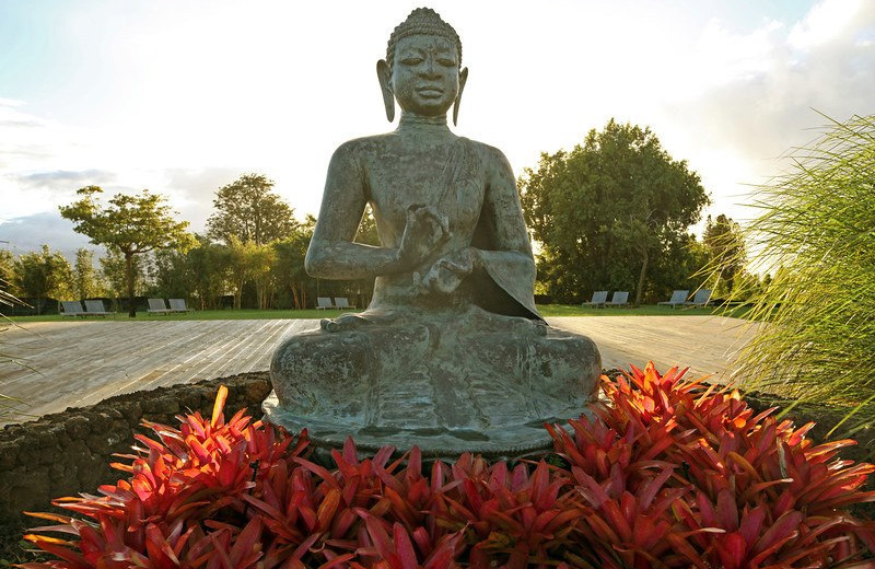 Statue in the courtyard at Lumeria Maui. 