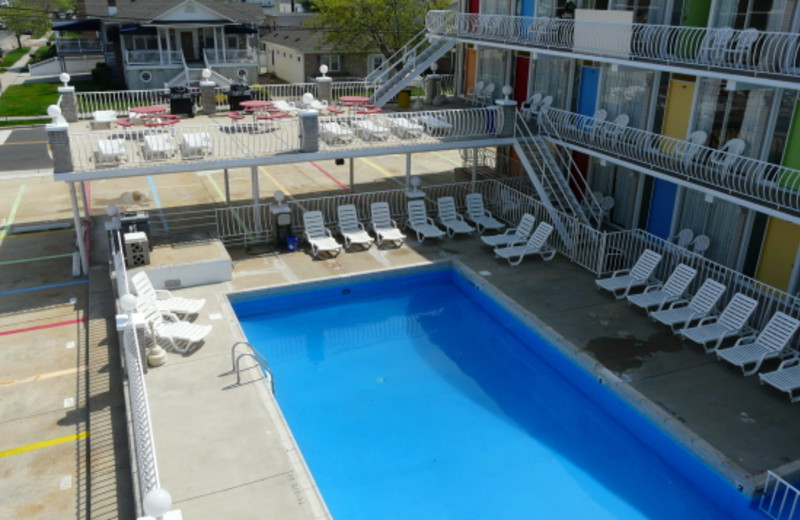 Spacious pool at Lollipop Motel